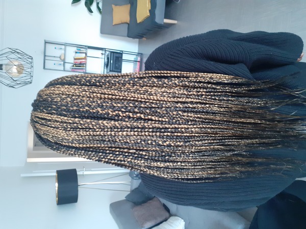 salon de coiffure afro tresse tresses box braids crochet braids vanilles tissages paris 75 77 78 91 92 93 94 95 MLGLEWKL