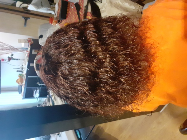 salon de coiffure afro tresse tresses box braids crochet braids vanilles tissages paris 75 77 78 91 92 93 94 95 WIALRDLO