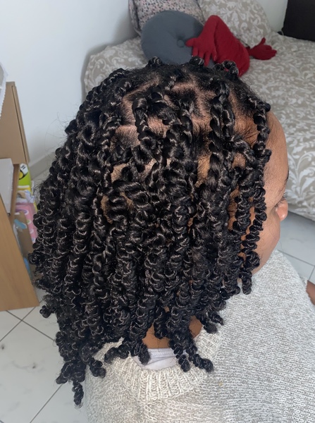 salon de coiffure afro tresse tresses box braids crochet braids vanilles tissages paris 75 77 78 91 92 93 94 95 TAQUSYVF