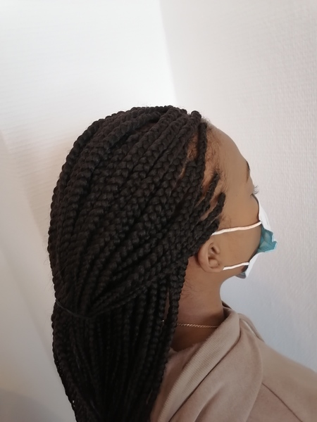 salon de coiffure afro tresse tresses box braids crochet braids vanilles tissages paris 75 77 78 91 92 93 94 95 OYWLEDUF