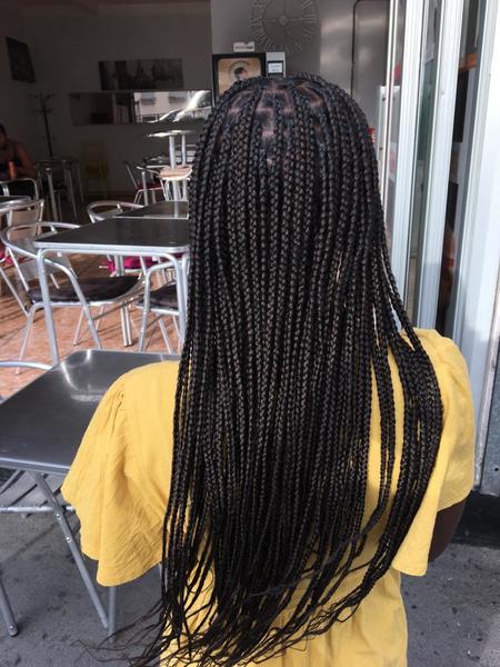 salon de coiffure afro tresse tresses box braids crochet braids vanilles tissages paris 75 77 78 91 92 93 94 95 ABQFUIYS