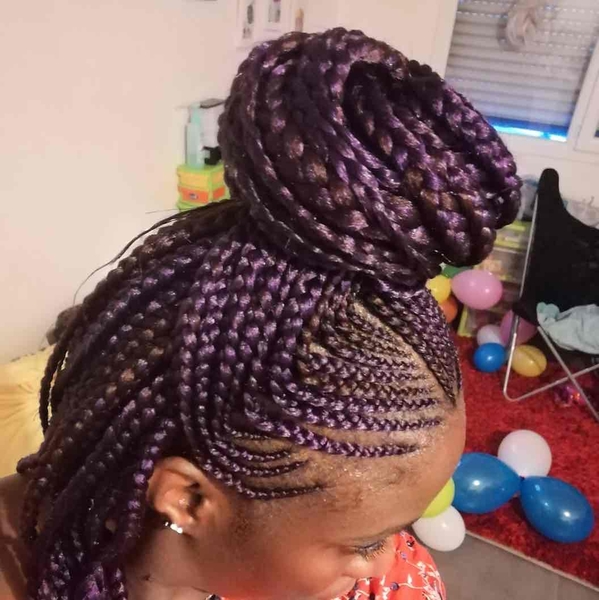 salon de coiffure afro tresse tresses box braids crochet braids vanilles tissages paris 75 77 78 91 92 93 94 95 ZTIGDDLA