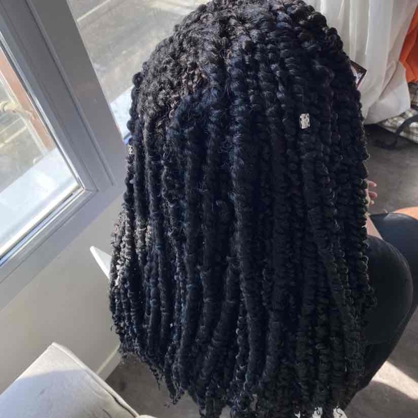 salon de coiffure afro tresse tresses box braids crochet braids vanilles tissages paris 75 77 78 91 92 93 94 95 AXUYZLRG