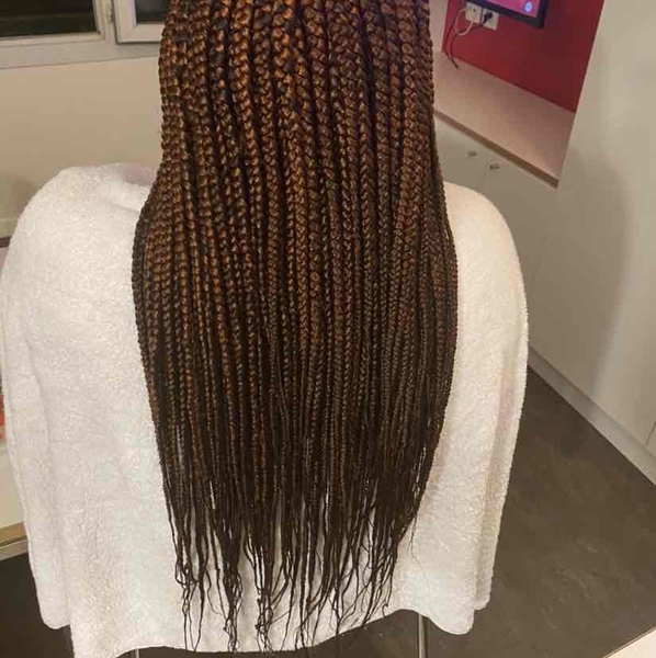 salon de coiffure afro tresse tresses box braids crochet braids vanilles tissages paris 75 77 78 91 92 93 94 95 CQESKHHA