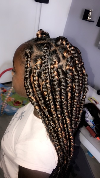 salon de coiffure afro tresse tresses box braids crochet braids vanilles tissages paris 75 77 78 91 92 93 94 95 LWVBAJPN