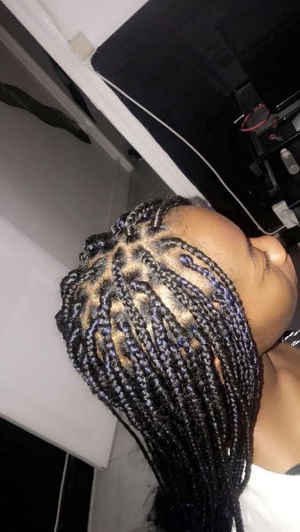 salon de coiffure afro tresse tresses box braids crochet braids vanilles tissages paris 75 77 78 91 92 93 94 95 RDLDEMBT