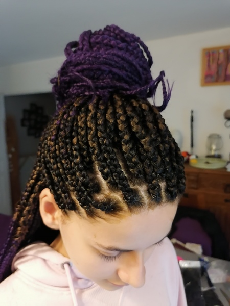 salon de coiffure afro tresse tresses box braids crochet braids vanilles tissages paris 75 77 78 91 92 93 94 95 TRALNTXQ