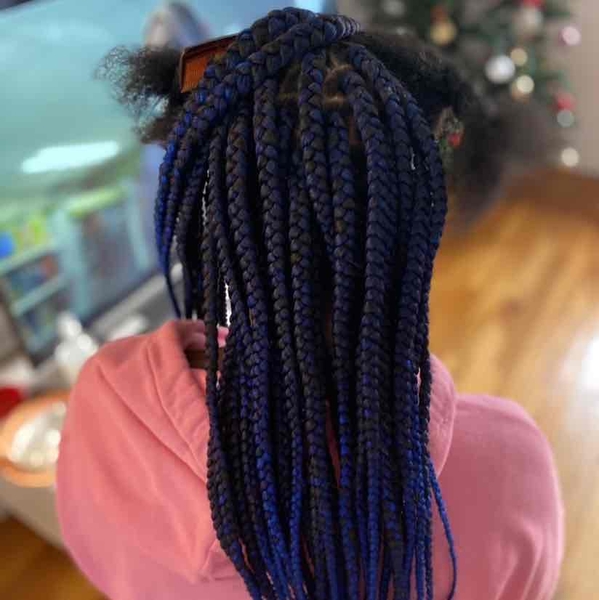 salon de coiffure afro tresse tresses box braids crochet braids vanilles tissages paris 75 77 78 91 92 93 94 95 UZYHZVND