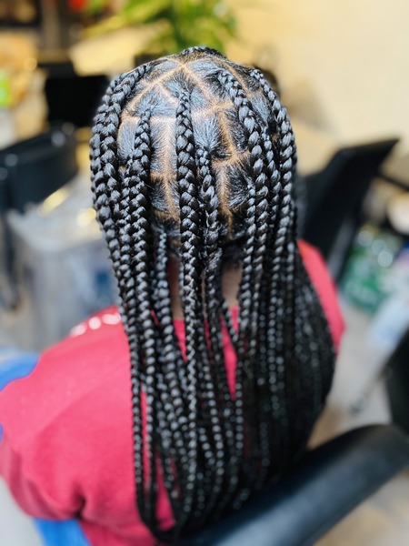salon de coiffure afro tresse tresses box braids crochet braids vanilles tissages paris 75 77 78 91 92 93 94 95 SEARYWJQ