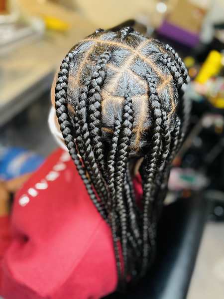 salon de coiffure afro tresse tresses box braids crochet braids vanilles tissages paris 75 77 78 91 92 93 94 95 DJCQFZLA