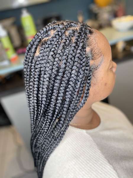 salon de coiffure afro tresse tresses box braids crochet braids vanilles tissages paris 75 77 78 91 92 93 94 95 ZZZSPMCM