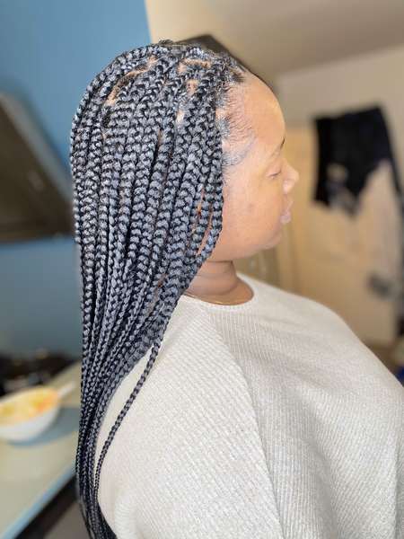 salon de coiffure afro tresse tresses box braids crochet braids vanilles tissages paris 75 77 78 91 92 93 94 95 VLJVNGRC