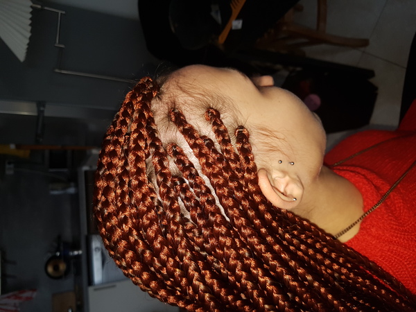 salon de coiffure afro tresse tresses box braids crochet braids vanilles tissages paris 75 77 78 91 92 93 94 95 OWVUYWYI