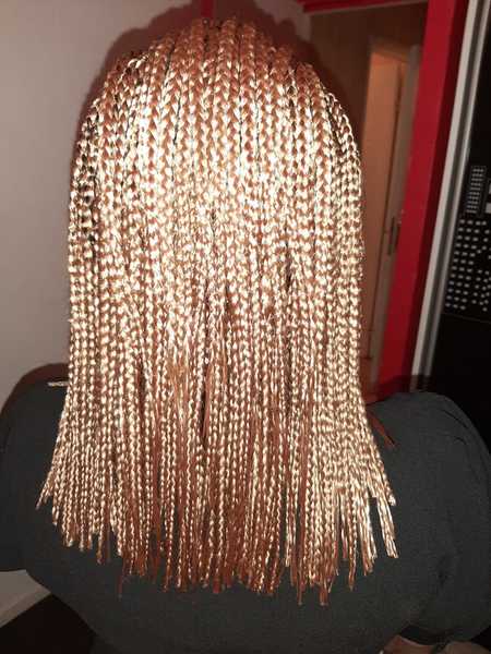 salon de coiffure afro tresse tresses box braids crochet braids vanilles tissages paris 75 77 78 91 92 93 94 95 YKJDVCDB