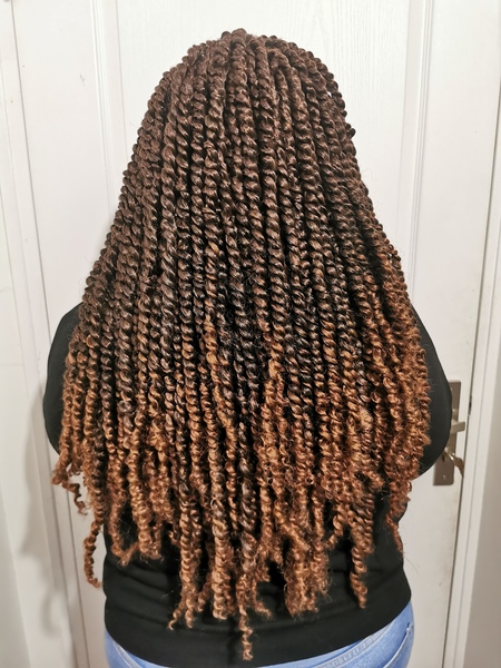 salon de coiffure afro tresse tresses box braids crochet braids vanilles tissages paris 75 77 78 91 92 93 94 95 BVINNOSE