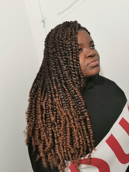 salon de coiffure afro tresse tresses box braids crochet braids vanilles tissages paris 75 77 78 91 92 93 94 95 JVSZJFDK