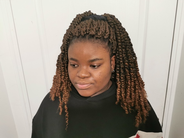 salon de coiffure afro tresse tresses box braids crochet braids vanilles tissages paris 75 77 78 91 92 93 94 95 AOZTMJLW