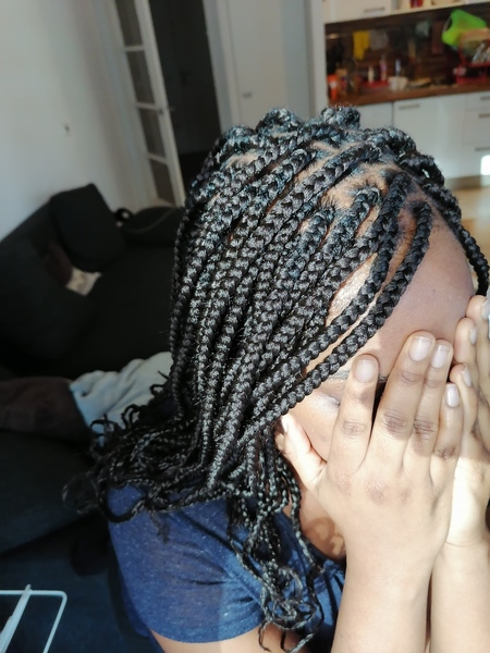 salon de coiffure afro tresse tresses box braids crochet braids vanilles tissages paris 75 77 78 91 92 93 94 95 XGATXTWN