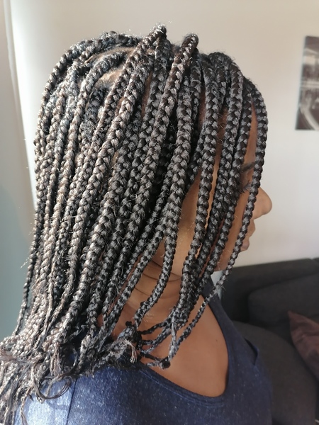 salon de coiffure afro tresse tresses box braids crochet braids vanilles tissages paris 75 77 78 91 92 93 94 95 VPYYSOSG
