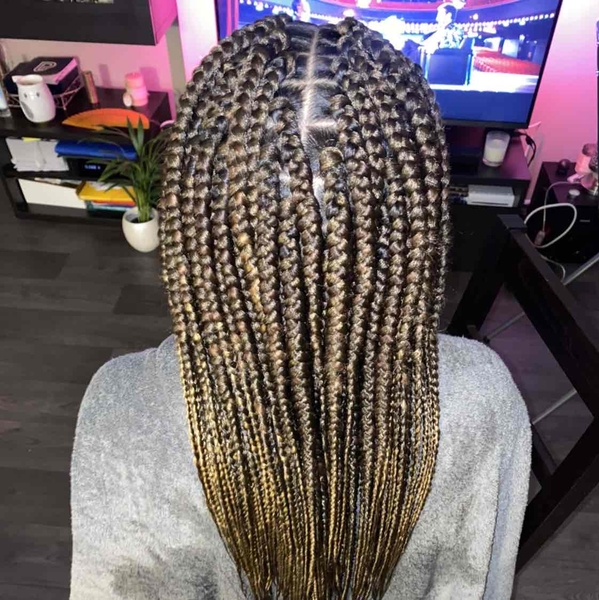 salon de coiffure afro tresse tresses box braids crochet braids vanilles tissages paris 75 77 78 91 92 93 94 95 TETIPULH