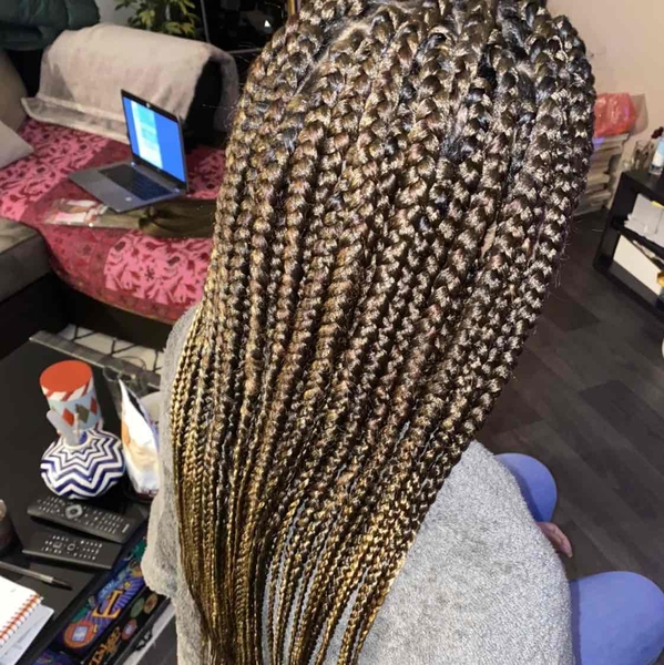 salon de coiffure afro tresse tresses box braids crochet braids vanilles tissages paris 75 77 78 91 92 93 94 95 TTGIEBOY