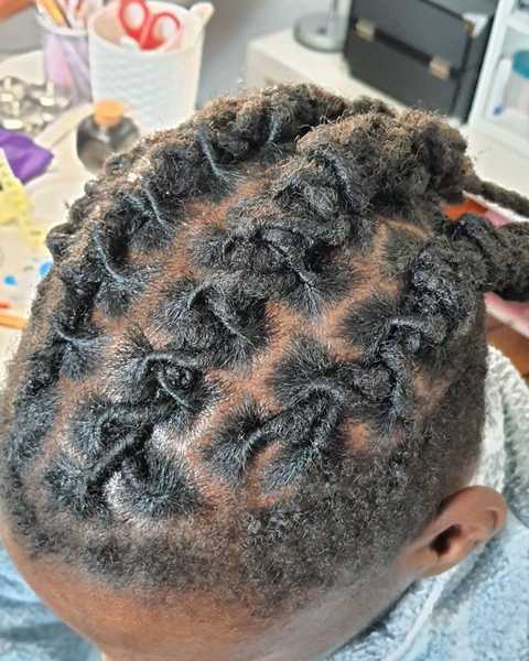 salon de coiffure afro tresse tresses box braids crochet braids vanilles tissages paris 75 77 78 91 92 93 94 95 DBQQBQUN