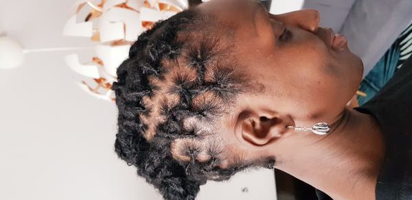 salon de coiffure afro tresse tresses box braids crochet braids vanilles tissages paris 75 77 78 91 92 93 94 95 PBHMVMIB