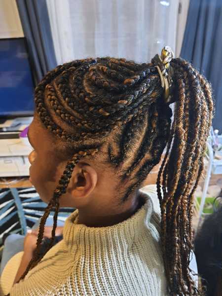 salon de coiffure afro tresse tresses box braids crochet braids vanilles tissages paris 75 77 78 91 92 93 94 95 VZJRPZBZ