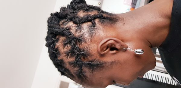 salon de coiffure afro tresse tresses box braids crochet braids vanilles tissages paris 75 77 78 91 92 93 94 95 WXGMOEVP