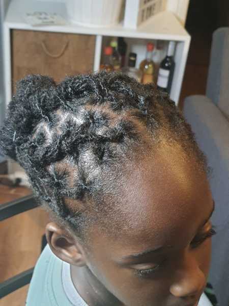 salon de coiffure afro tresse tresses box braids crochet braids vanilles tissages paris 75 77 78 91 92 93 94 95 ORDDLSMK