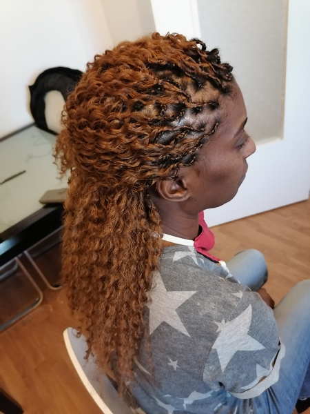 salon de coiffure afro tresse tresses box braids crochet braids vanilles tissages paris 75 77 78 91 92 93 94 95 OUFXNEKY