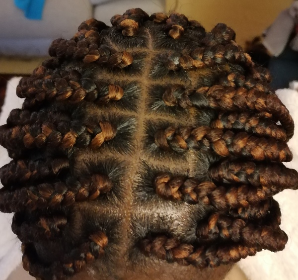 salon de coiffure afro tresse tresses box braids crochet braids vanilles tissages paris 75 77 78 91 92 93 94 95 RIXLGOSK