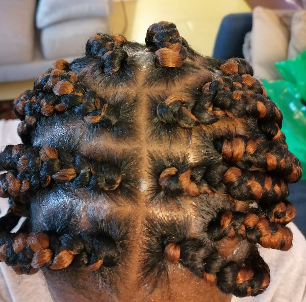salon de coiffure afro tresse tresses box braids crochet braids vanilles tissages paris 75 77 78 91 92 93 94 95 HGBGUNXL