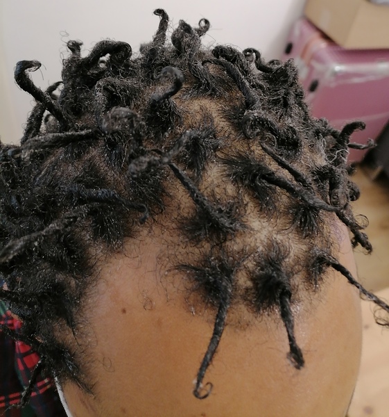 salon de coiffure afro tresse tresses box braids crochet braids vanilles tissages paris 75 77 78 91 92 93 94 95 YZVFMUVK