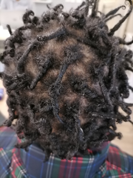 salon de coiffure afro tresse tresses box braids crochet braids vanilles tissages paris 75 77 78 91 92 93 94 95 FNYPEJRU