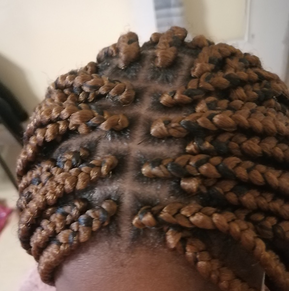 salon de coiffure afro tresse tresses box braids crochet braids vanilles tissages paris 75 77 78 91 92 93 94 95 ERBPLDER