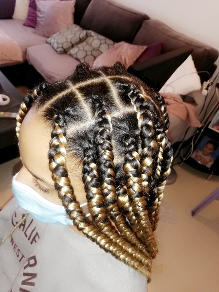 salon de coiffure afro tresse tresses box braids crochet braids vanilles tissages paris 75 77 78 91 92 93 94 95 YRRAVIRB