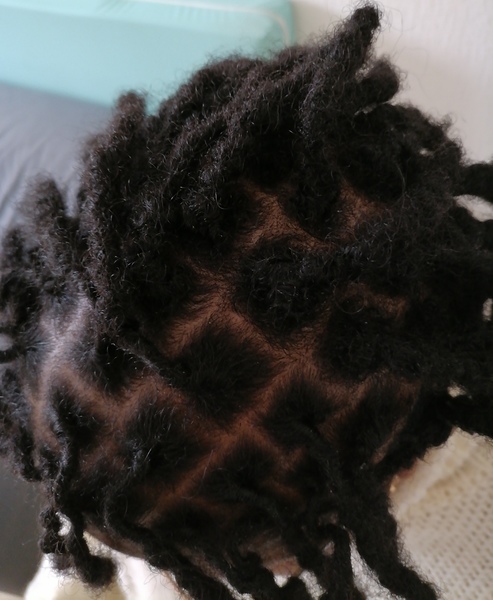 salon de coiffure afro tresse tresses box braids crochet braids vanilles tissages paris 75 77 78 91 92 93 94 95 NKRGBBNS