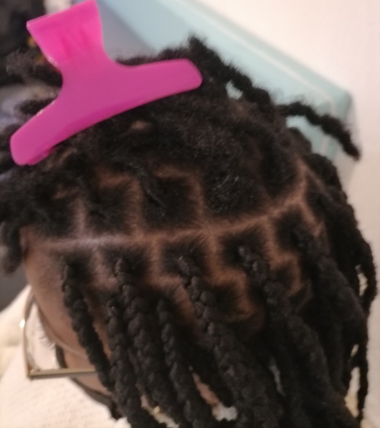 salon de coiffure afro tresse tresses box braids crochet braids vanilles tissages paris 75 77 78 91 92 93 94 95 DZZTWJBI