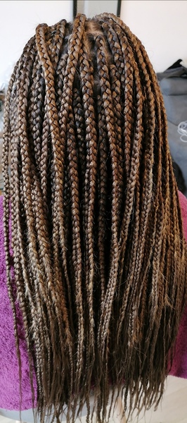 salon de coiffure afro tresse tresses box braids crochet braids vanilles tissages paris 75 77 78 91 92 93 94 95 PBZZMXDC