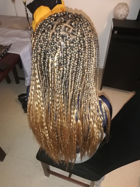 salon de coiffure afro tresse tresses box braids crochet braids vanilles tissages paris 75 77 78 91 92 93 94 95 NWPBGTAS