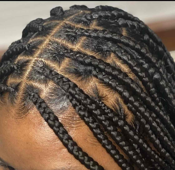 salon de coiffure afro tresse tresses box braids crochet braids vanilles tissages paris 75 77 78 91 92 93 94 95 EYRSHWSU