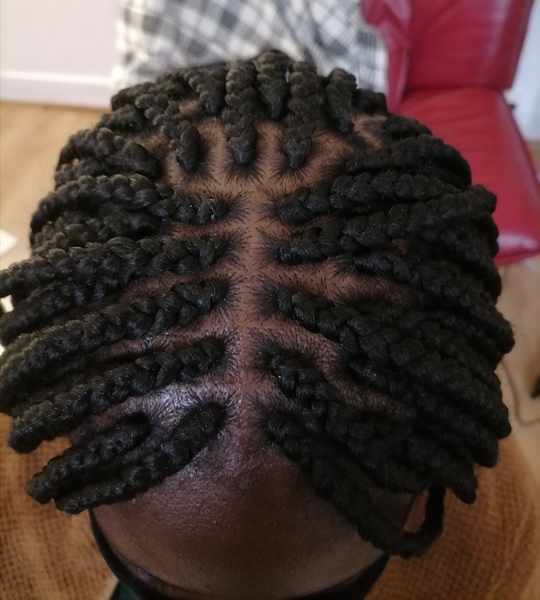 salon de coiffure afro tresse tresses box braids crochet braids vanilles tissages paris 75 77 78 91 92 93 94 95 TQNBVKCC