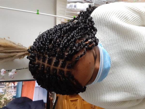 salon de coiffure afro tresse tresses box braids crochet braids vanilles tissages paris 75 77 78 91 92 93 94 95 XQELCGIN