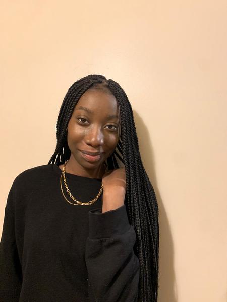 salon de coiffure afro tresse tresses box braids crochet braids vanilles tissages paris 75 77 78 91 92 93 94 95 ERWNGNGL