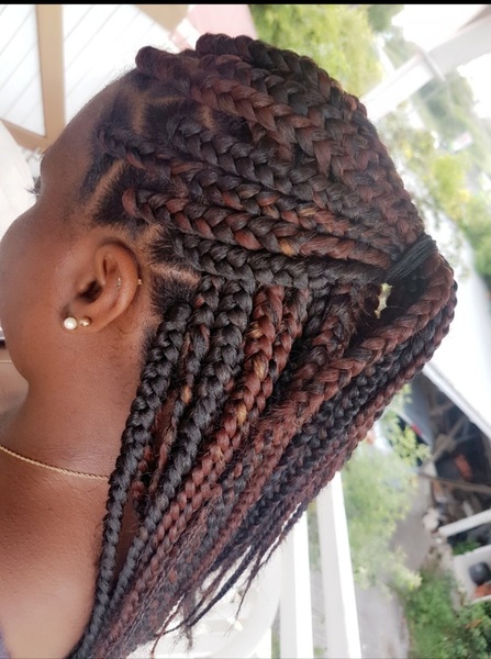 salon de coiffure afro tresse tresses box braids crochet braids vanilles tissages paris 75 77 78 91 92 93 94 95 UTQQTGNY