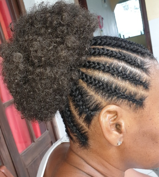 salon de coiffure afro tresse tresses box braids crochet braids vanilles tissages paris 75 77 78 91 92 93 94 95 AJRPEORO