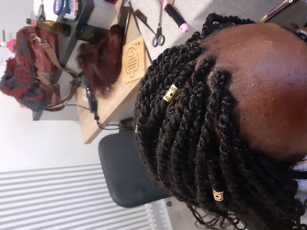 salon de coiffure afro tresse tresses box braids crochet braids vanilles tissages paris 75 77 78 91 92 93 94 95 DDIVTIZL
