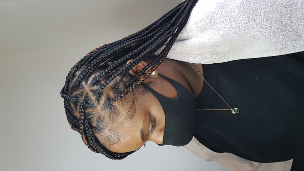 salon de coiffure afro tresse tresses box braids crochet braids vanilles tissages paris 75 77 78 91 92 93 94 95 DKTODTFF