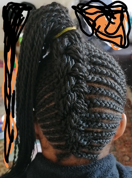 salon de coiffure afro tresse tresses box braids crochet braids vanilles tissages paris 75 77 78 91 92 93 94 95 ECGBTGJC